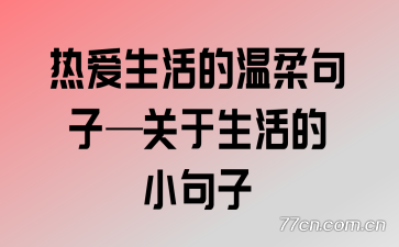 ȰӡС