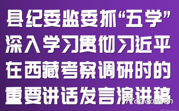 县纪委监委抓“五学”深入学习贯彻习近平在西藏考察调研时的重要讲话发言演讲稿