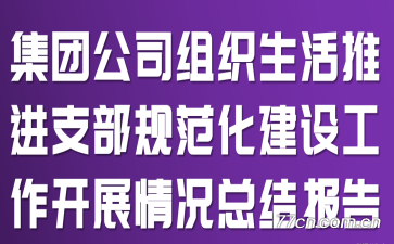 Ź˾֯ƽ֧淶蹤չܽᱨ