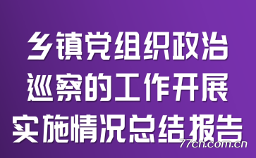 乡镇党组织政治巡察的工作开展实施情况总结报告