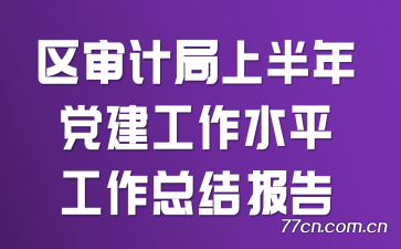ƾϰ굳ˮƽܽᱨ